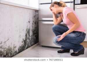 closeup-shocked-woman-looking-mold-260nw-767180011 Closeup Shocked Woman