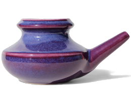 Purpel Neti Pot